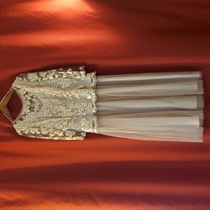 Alex Evenings Women's Sequin Lace Mock Dress